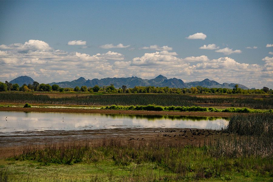Chico CA - Scenic View of Sutter Buttes in Chico California with Views of a Lake Forests and Mountains
