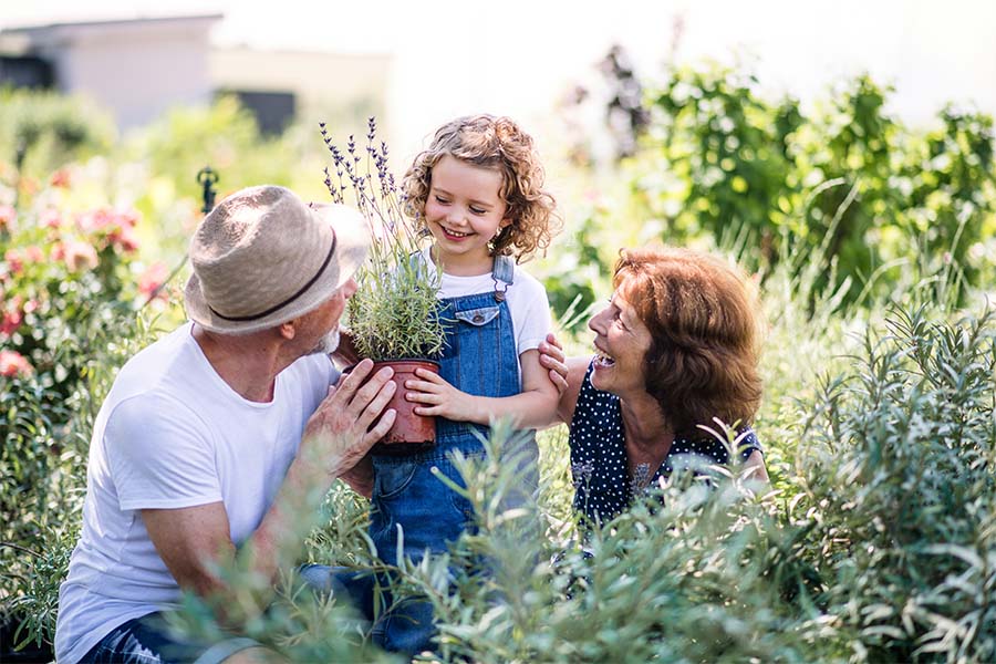Employee Benefits - Portrait of Cheerful Grandparents Having Fun with Their Granddaughter in the Garden